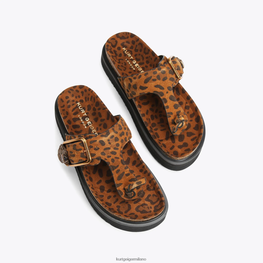 esso Kurt Geiger donne Ciabatte con barra a T con fibbia London Eagle marrone medio 8024FF442 | calzature